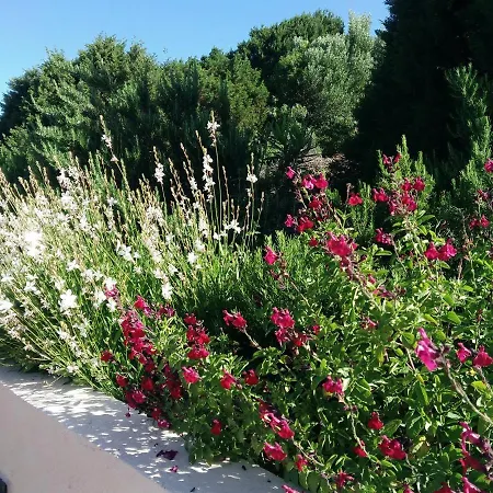 Maison Maquis - La Vue, Le Silence, La Villa Tizzano