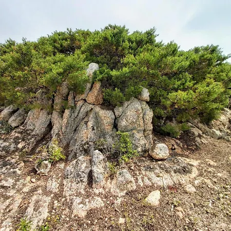 Villa Maison Maquis - La Vue, Le Silence, La Tizzano