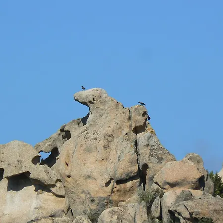 Maison Maquis - La Vue, Le Silence, La Tizzano