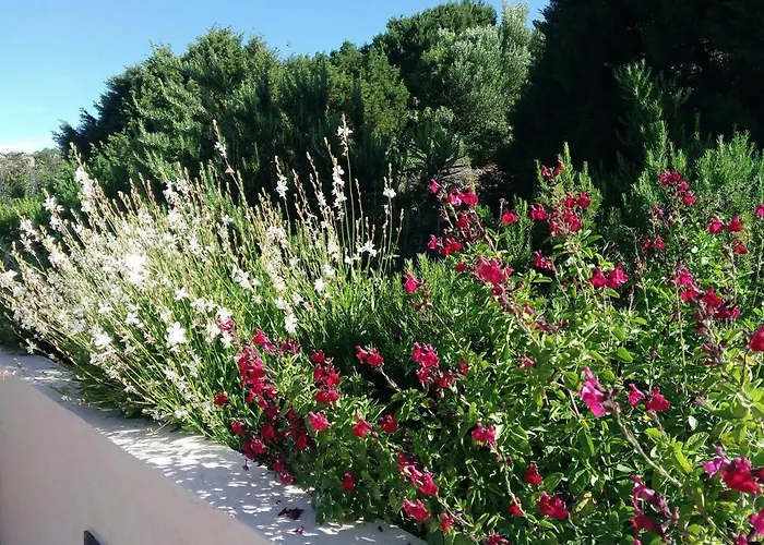 Maison Maquis - La Vue, Le Silence, La Vila Tizzano